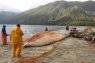 Comisión Golfo de Penas: El Misterio de las ballenas varadas